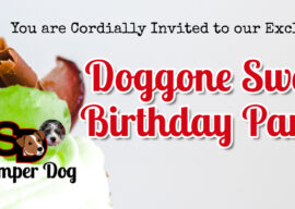 Are You Ready for a Birthday Party?