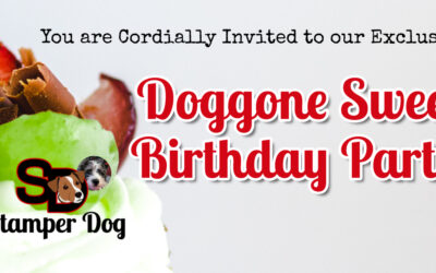 Are You Ready for a Birthday Party?