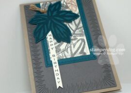 Designed a Fall Masculine Birthday Card