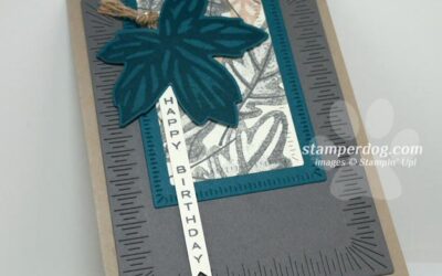 Designed a Fall Masculine Birthday Card