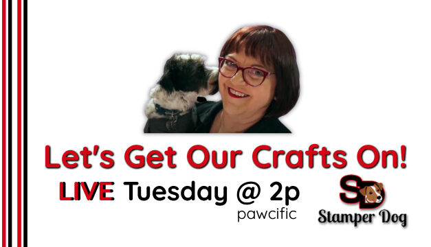 Join Us Today @ 2pm Pawcific!