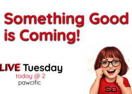 Join Us Today