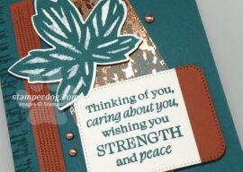 Our Caring Card Kicks Off Free Shipping