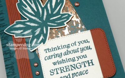 Our Caring Card Kicks Off Free Shipping
