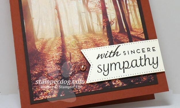 Simple Sympathy Card