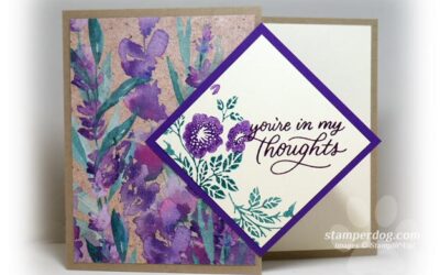 Sneak Peek Gift Card Holders