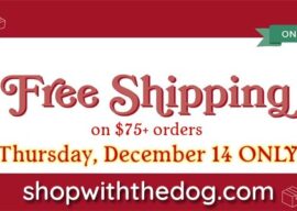 Free Shipping Day After Tomorrow!