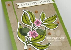 Graduation Congratulation Card