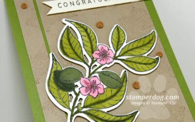 Graduation Congratulation Card