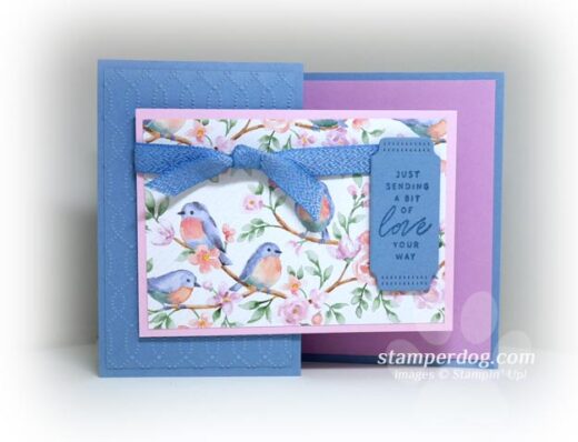 Lovely & Sweet Bird Card