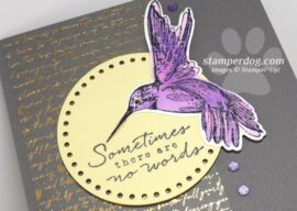 Hummingbird Sympathy Card