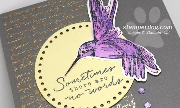 Hummingbird Sympathy Card