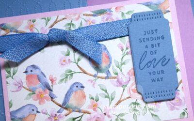 Ann Loves Being a Stampin’ Up! Demonstrator!