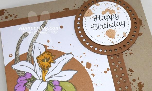 Quick Color Birthday Card
