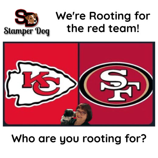 Who are you rooting for Super Bowl 2024