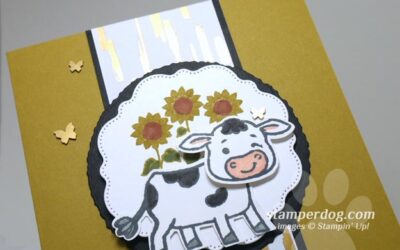 We Made a Cow Card!