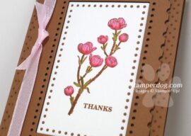 We’ve Got New Stamps & Stuff!