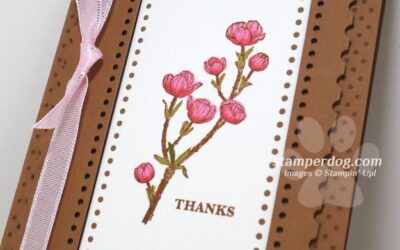We’ve Got New Stamps & Stuff!