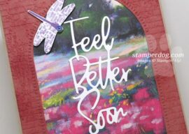 Get Well Window Card