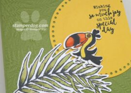 Jungle Birthday Card