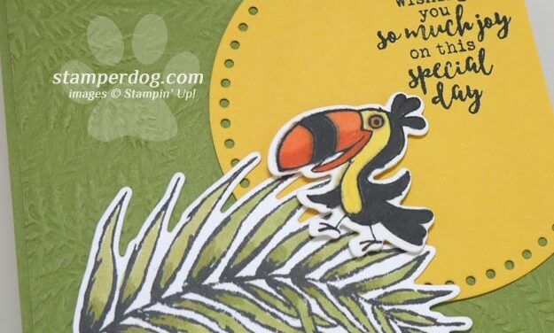 Jungle Birthday Card