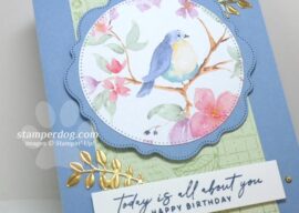 Boho Bluebird Birthday Card