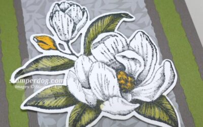 New Magnolia Birthday Card