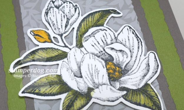 New Magnolia Birthday Card