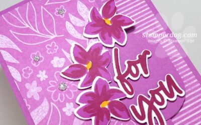 Mixing Old and New Stampin Up! Colors