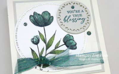 Almost White on White Card