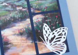 Picture Birthday Card & a Special