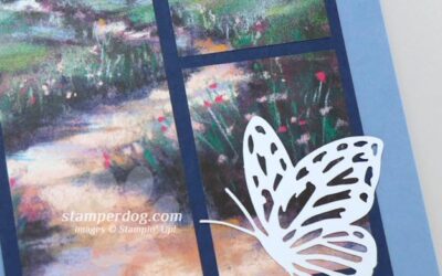 Picture Birthday Card & a Special