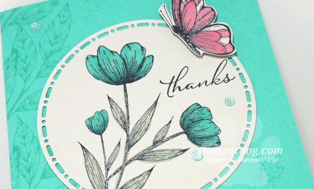 I Just Want to Say Thank You