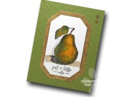 How to Color With Stampin’ Blends