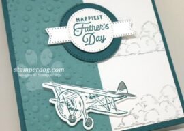 We Found That Airplane Father’s Day Card