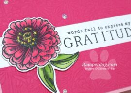 Sharing a Gratitude Card