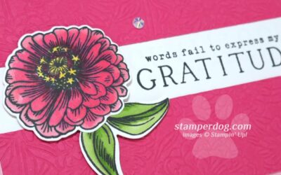 Sharing a Gratitude Card