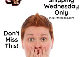 Today Only!