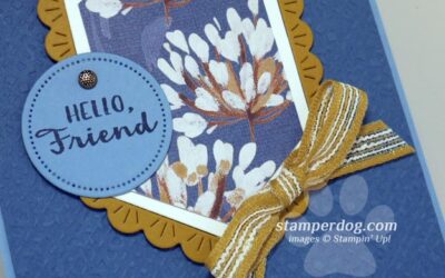 Recreating a Fancy Friend Card