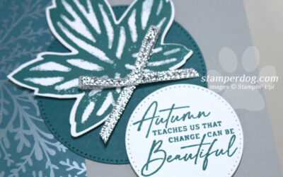 Last Day to Grab This Autumn Card