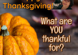 Happy Thanksgiving!