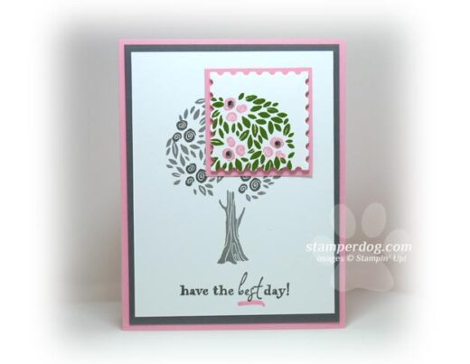 Spotlight Card