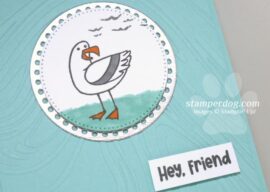 A Friendly Seagull Card – Are You Kidding?