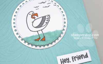 A Friendly Seagull Card – Are You Kidding?