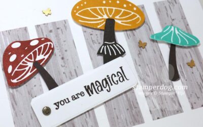 Magic Mushrooms Card