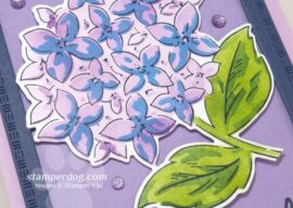 Hydrangea Thank You Card
