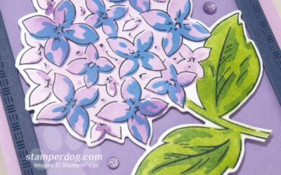 Hydrangea Thank You Card