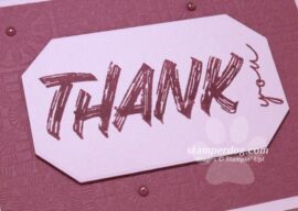 Stampin’ Up! Swap Cards & Sneak Peek