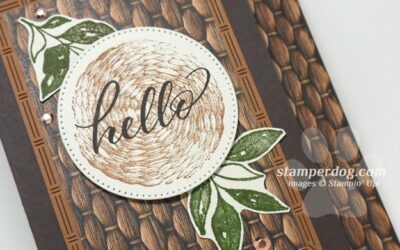 Sneak Peek Textured Card for a Friend