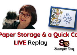 Paper Storage and a Quick Card